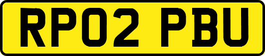 RP02PBU