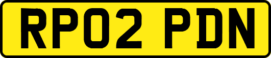 RP02PDN
