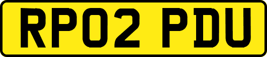RP02PDU