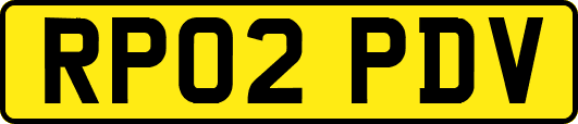 RP02PDV