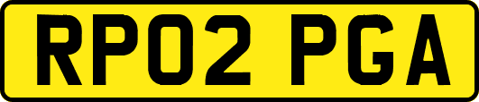 RP02PGA