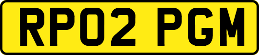 RP02PGM