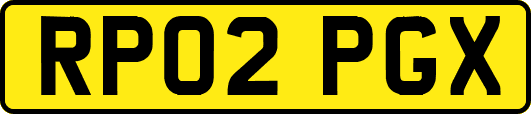 RP02PGX
