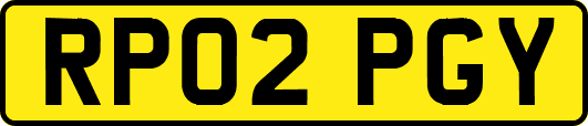 RP02PGY