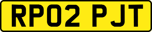 RP02PJT