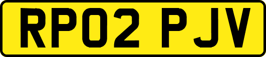 RP02PJV