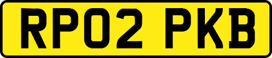 RP02PKB