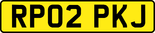 RP02PKJ