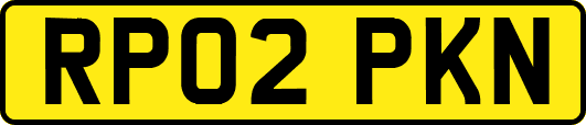 RP02PKN