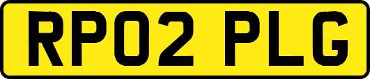RP02PLG