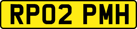 RP02PMH