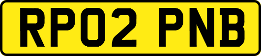 RP02PNB