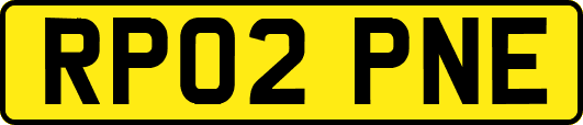 RP02PNE
