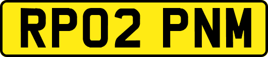 RP02PNM