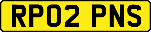 RP02PNS