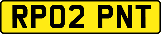 RP02PNT