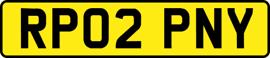 RP02PNY