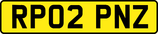 RP02PNZ