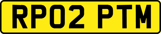 RP02PTM