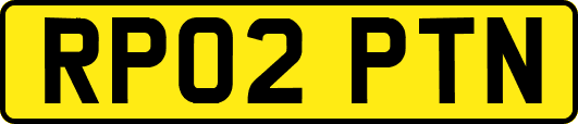 RP02PTN