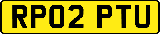 RP02PTU