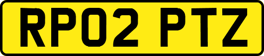 RP02PTZ