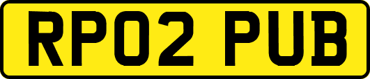 RP02PUB