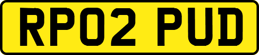 RP02PUD