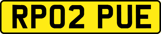 RP02PUE