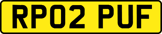 RP02PUF