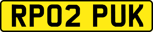 RP02PUK