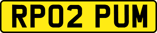 RP02PUM
