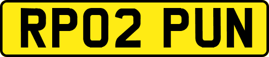 RP02PUN