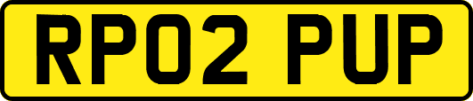 RP02PUP