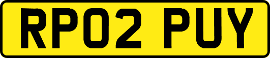 RP02PUY