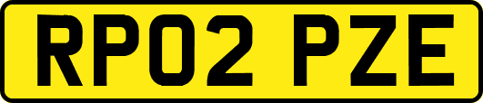 RP02PZE