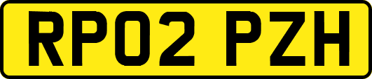 RP02PZH