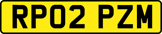 RP02PZM