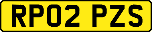 RP02PZS