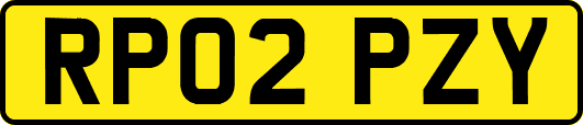 RP02PZY