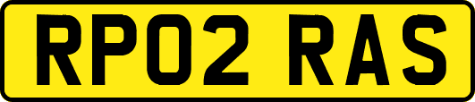 RP02RAS