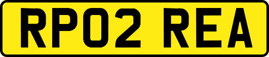 RP02REA