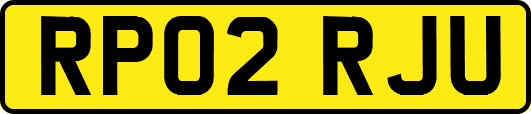 RP02RJU
