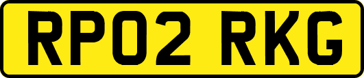RP02RKG