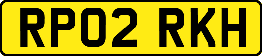 RP02RKH