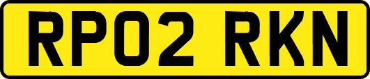 RP02RKN