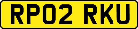 RP02RKU