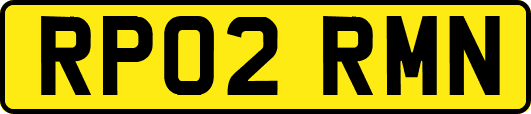 RP02RMN