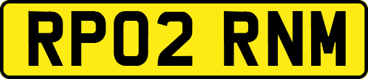 RP02RNM