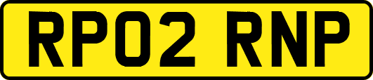 RP02RNP
